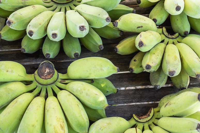 6 fruits holding the intestine