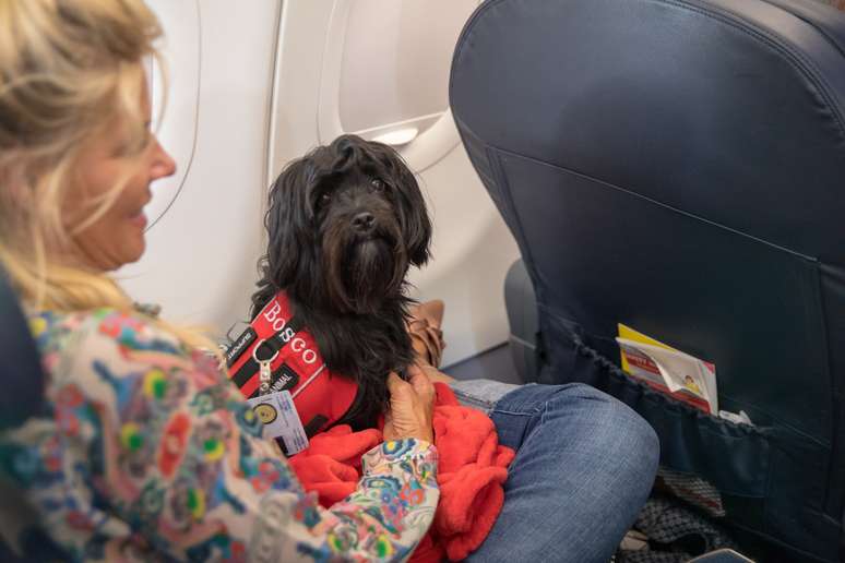 Stj decides that airlines can refuse emotional support animals