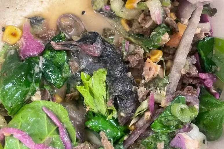 Cliente tirou foto de rato morto encontrado em salada