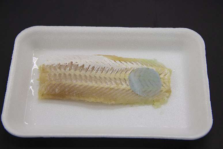 Scientists develop packaging that change color when the booty fish Scientists develop packaging that change color when the booty fish