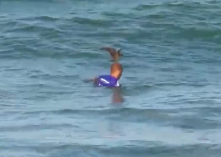 Bird Lands in the lead of the Brazilian surfers during the classification battery Bird Lands in the lead of the Brazilian surfers during the classification battery