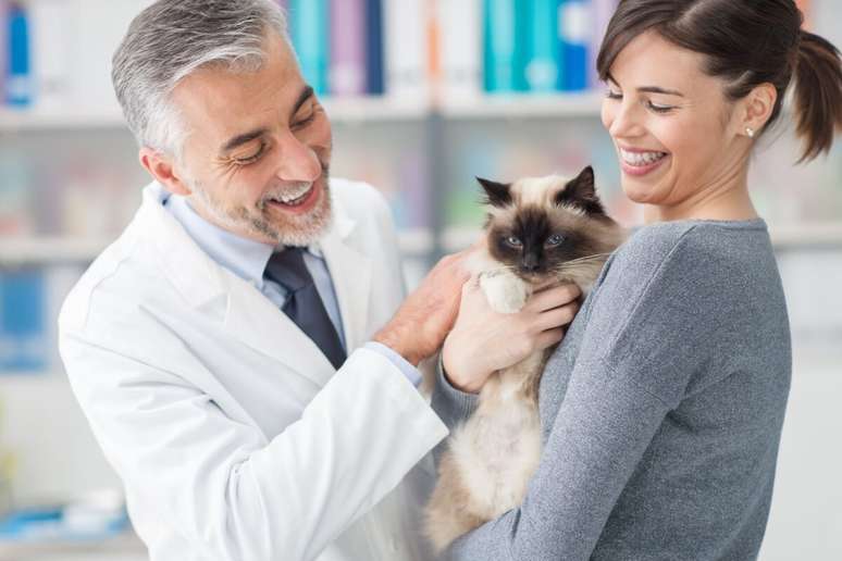 O acompanhamento de um médico-veterinário durante o processo de introduzir novos alimentos na dieta do gato é essencial 