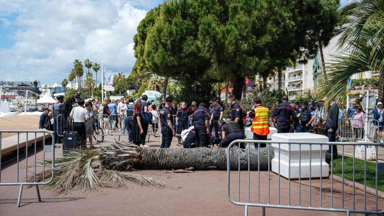 Queda de palmeira deixa homem gravemente em Cannes, em pleno festival de cinema