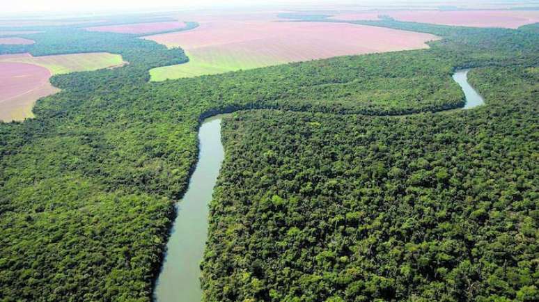 Área de floresta na região entre Sinop e Brasnorte, no Estado do Mato Grosso