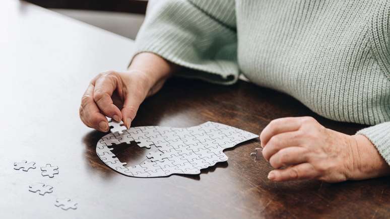 New routine experiences help to improve memory, study of the study