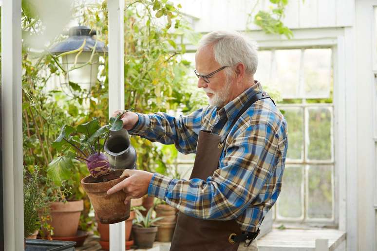 Pesquisas mostram que a jardinagem preserva a função cognitiva, ajudando você a viver bem por mais tempo