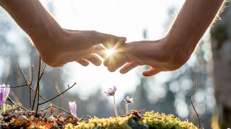 As cartas do Baralho Cigano (Peixes, Coração, Nuvem, Jardim e Caminhos) indicam que apesar de uma certa melancolia, a semana será ótima