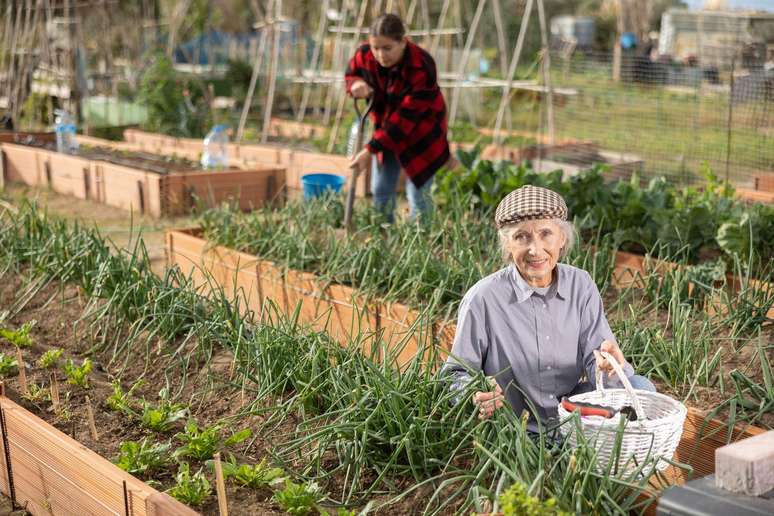 Além do cérebro, a jardinagem também faz bem ao coração, aos ossos e aos músculos