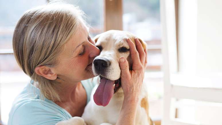 How does an emotional support dog help someone? Experts explain How does an emotional support dog help someone? Experts explain