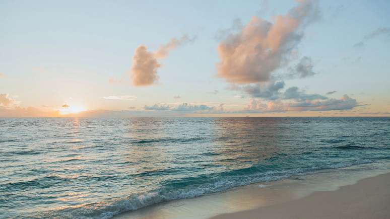 If salt has no smell, what does the smell of the sea causes?