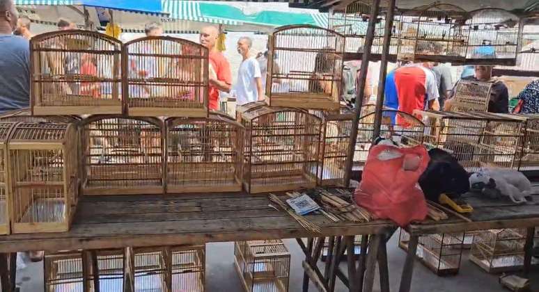 Ibama faz opera&ccedil;&atilde;o em feira em Duque de Caxias, onde &eacute; comum encontrar at&eacute; menores de idade envolvidos no com&eacute;rcio de animais silvestres