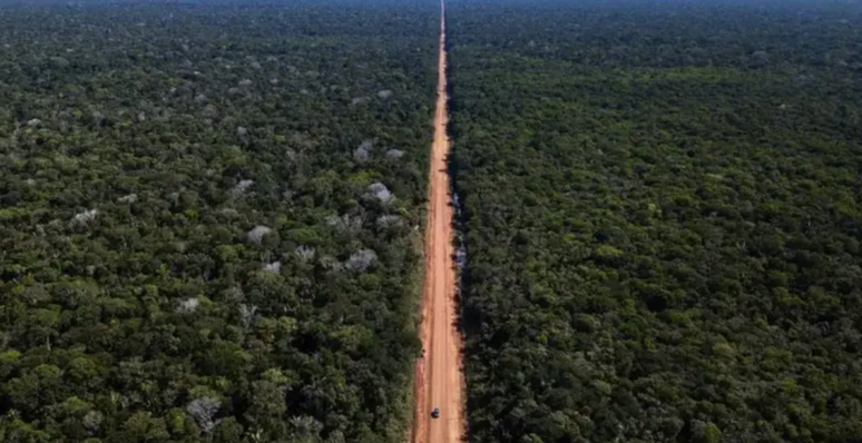 A rodovia BR-319 liga Porto Velho a Manaus, mas quase metade dos seus 880 quil&ocirc;metros fica intrafeg&aacute;vel durante a temporada de chuvas &mdash; por isso, um pol&ecirc;mico projeto visa paviment&aacute;-la