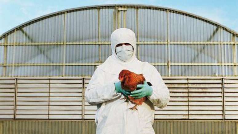 Por ora, o risco maior de infecção recai sobre as pessoas que têm contato direto com aves, como trabalhadores de granjas e profissionais de vigilância sanitária