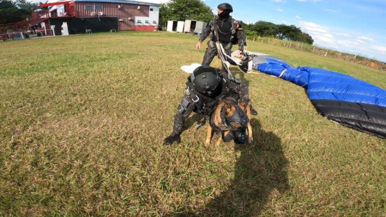 Embora os equipamentos usados por Coyote pare&ccedil;am pesados e desconfort&aacute;veis, tudo foi feito por profissionais de maneira personalizada para o cachorro.