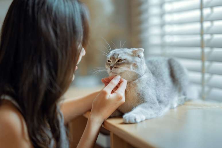 8 races of extremely docile cats