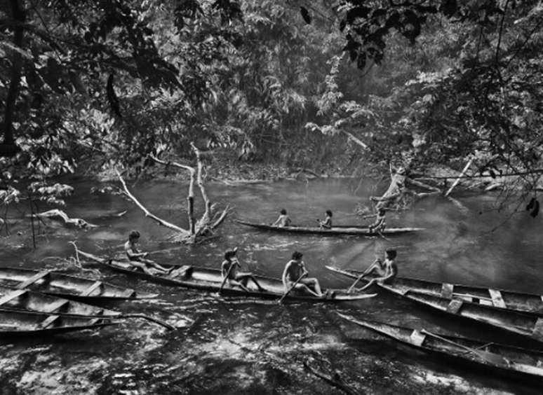 Igarap&eacute; Pret&atilde;o, na terra ind&iacute;gena Suruwah&aacute;, do Estado do Amazonas, 2017.