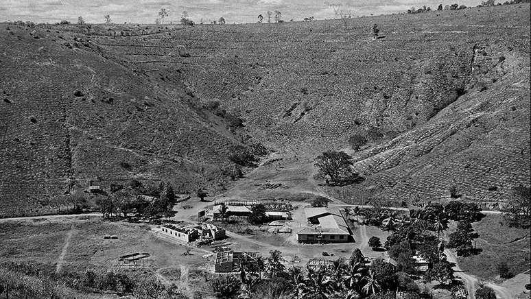 Vista da fazenda de Salgado em Aimorés (MG) antes do reflorestamento