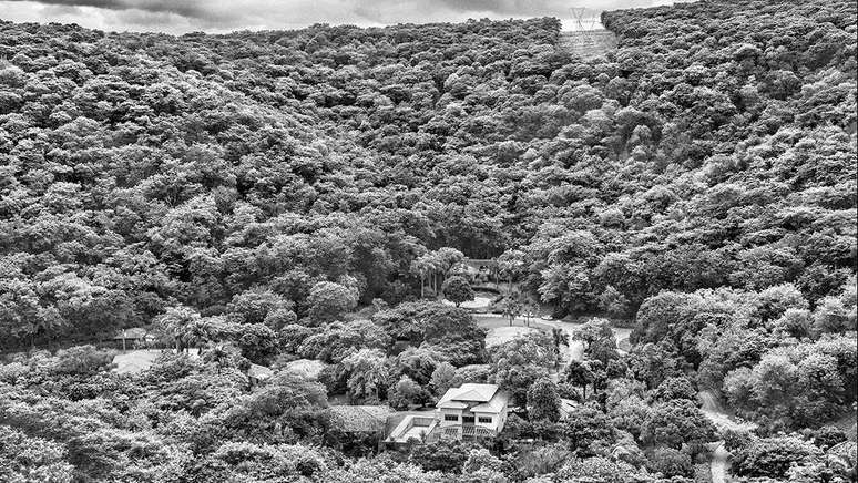 Sebastião Salgado reflorestou propriedade da família em Aimorés (MG)