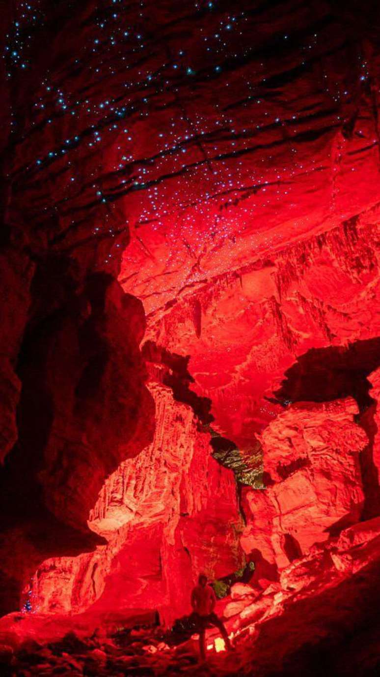 As criaturas bioluminescentes s&atilde;o incrivelmente sens&iacute;veis e os ca&ccedil;adores de brilhos devem tomar muito cuidado para n&atilde;o perturb&aacute;-las