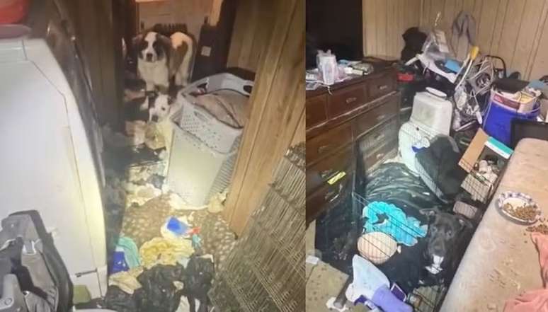 Reprodu&ccedil;&atilde;o