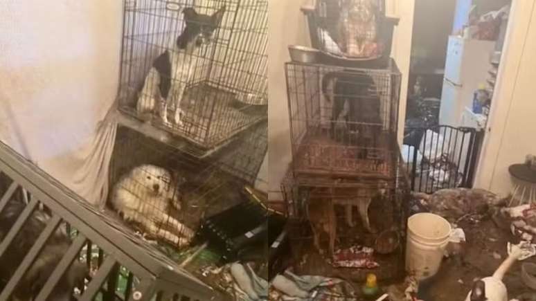 Reprodu&ccedil;&atilde;o