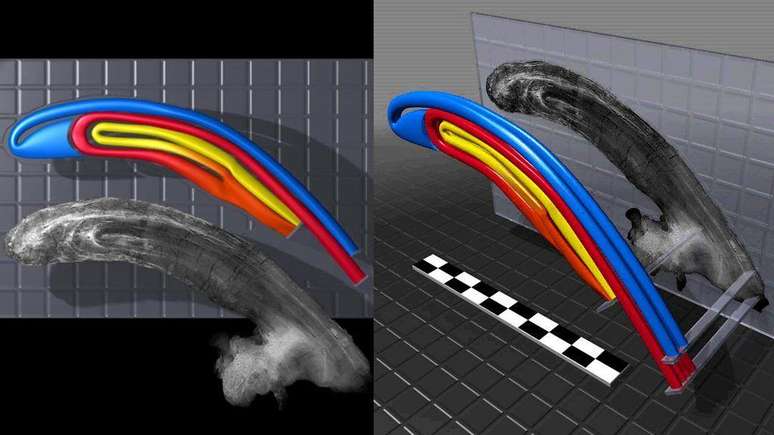 Cientistas conseguiram reconstruir digitalmente os tubos da crista do P. tubicen, para ajudar a descobrir quais sons ele poderia emitir