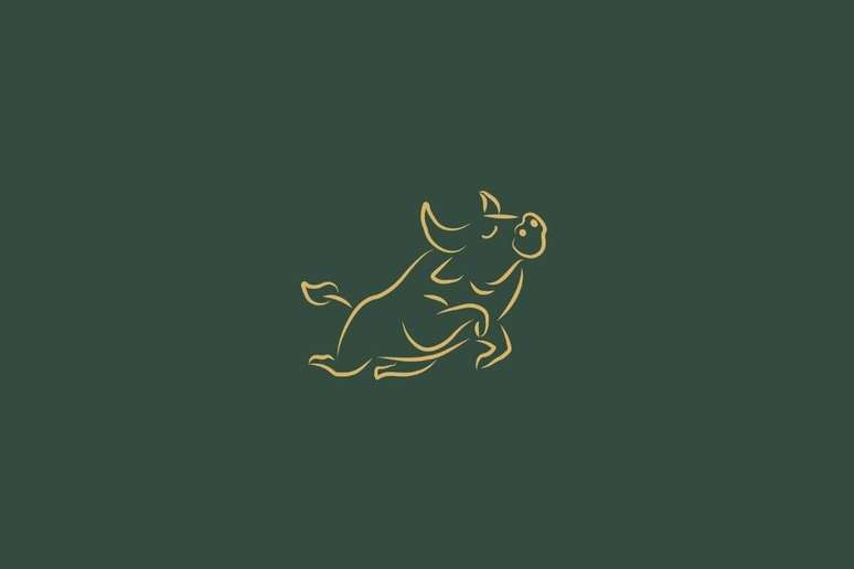 Os nativos de B&uacute;falo dever&atilde;o investir no planejamento e na organiza&ccedil;&atilde;o 