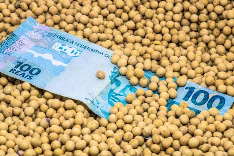 SNAG11 vai pagar dividendos de 12,29% ao ano; veja quem pode receber