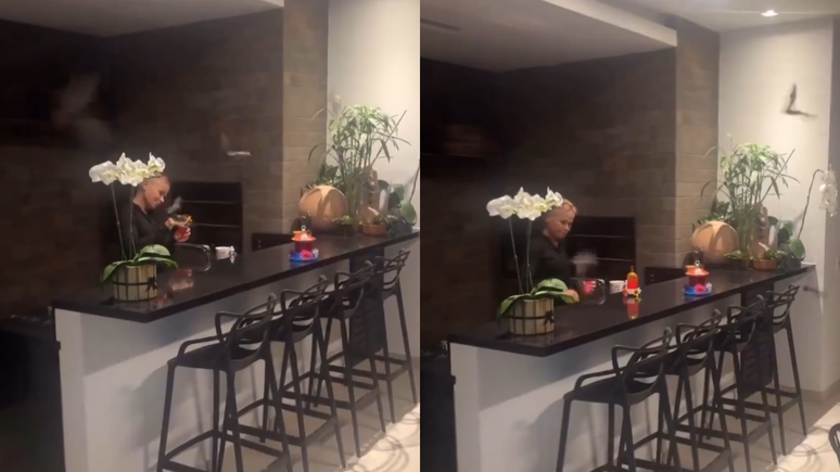 Xuxa cercada por morcegos