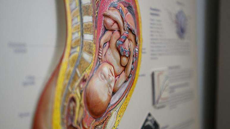 Acredita-se que a creatina possa ajudar a proteger os beb&ecirc;s antes do parto, contra a falta de oxig&ecirc;nio no &uacute;tero