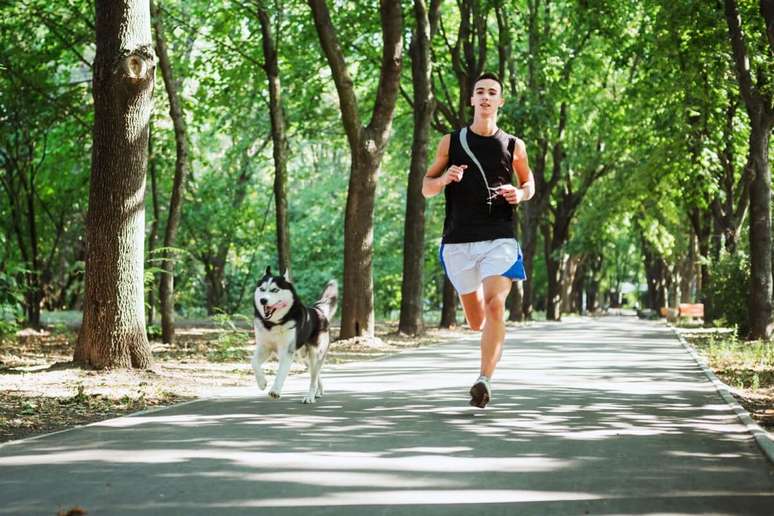 Animais que praticam atividade física precisam de cuidados especiais