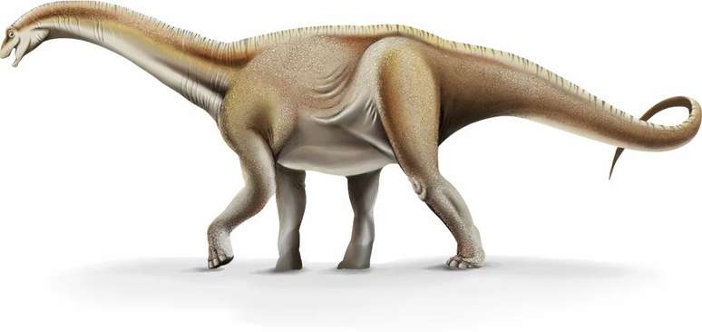 Dino Titã 