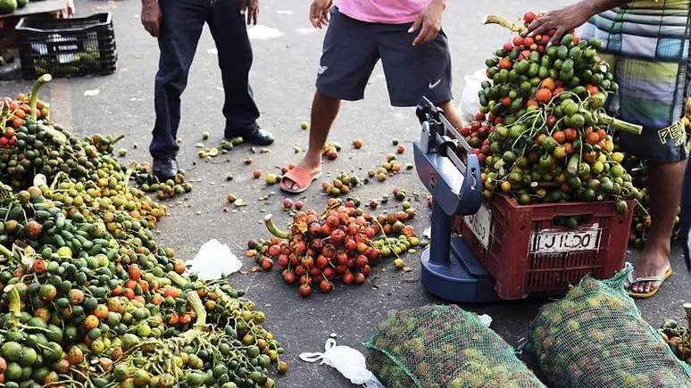 Pupunha &eacute; fonte de gorduras naturais, al&eacute;m de ser rica em vitamina B1 e E