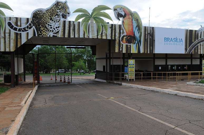 Exame confirms the avian influence to death at the Brazilian zoo