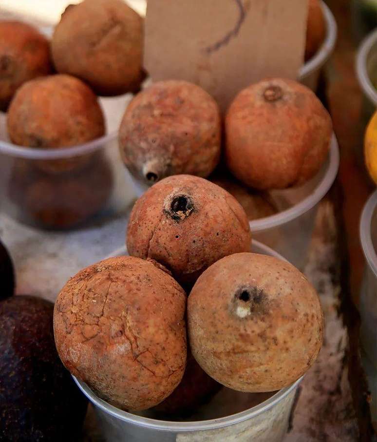 Jenipapo cresce tanto na Amaz&ocirc;nia quanto no litoral brasileiro e &eacute; usada para fazer suco e licores