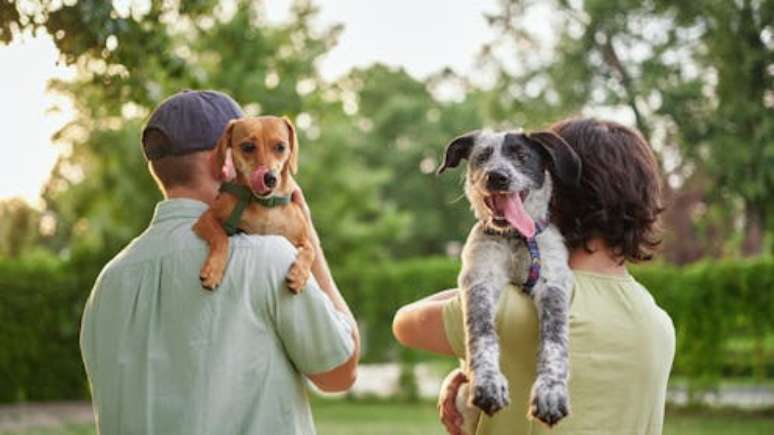 Embora as pessoas e seus c&atilde;es &agrave;s vezes sejam parecidos at&eacute; fisicamente uns com os outros, pesquisas sugerem que a compatibilidade emocional pode ser um elemento-chave para construir um relacionamento positivo com os nossos animais de estima&ccedil;&atilde;o .