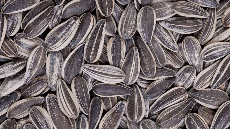Como a semente de girassol pode trazer benef&iacute;cios para a sua sa&uacute;de? Descubra como inclui