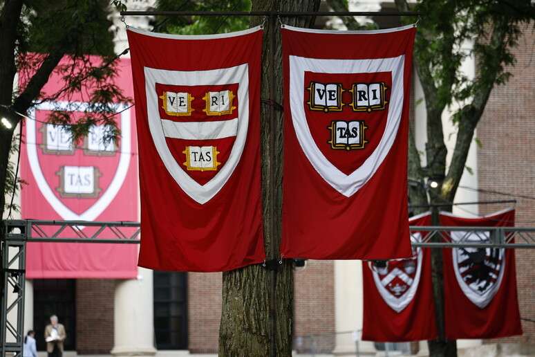 Universidade de Harvard e Trump est&atilde;o em p&eacute; de guerra