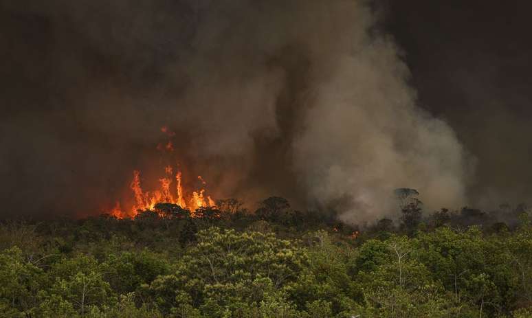Incêndios florestais estão entre os causadores de desmatamento no Brasil