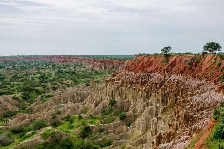 A Angola oferece a oportunidade de observar a vida selvagem de forma única