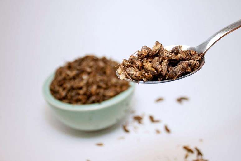 How many insects would you need to eat to replace chicken, pork or beef?