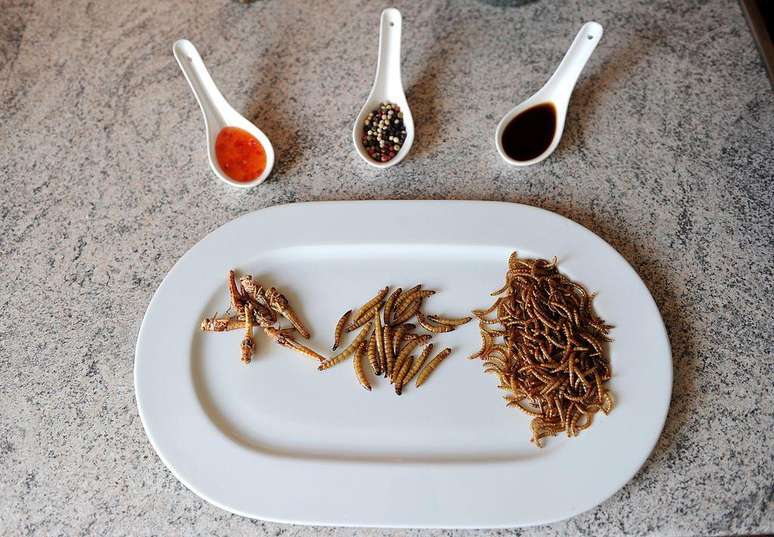 Insects are rich in protein and use less soil and water than the production of meat Insects are rich in protein and use less soil and water than the production of meat