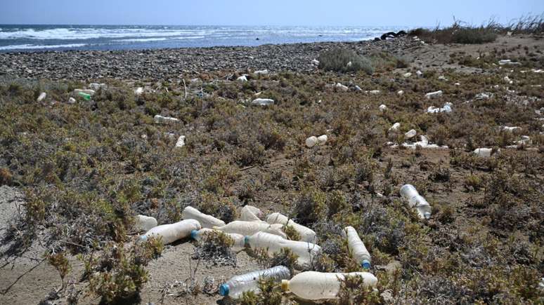 Garrafas plásticas na praia na área protegida de Ras Baghdadi, em Marsa Alam, no sul do Egito, em 28 de maio de 2025.