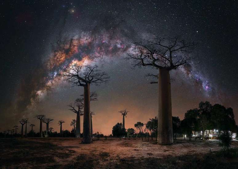 “Night under the Baobab Trees”, foto de Steffi Liebermann que ficou entre os finalistas de 2023 Milky Way Photographer of the Year
