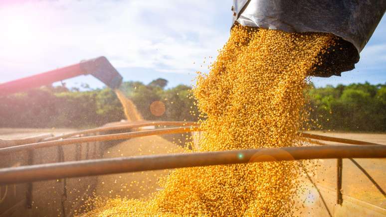 LCAs s&atilde;o t&iacute;tulos de renda fixa usados para captar recursos para o agroneg&oacute;cio