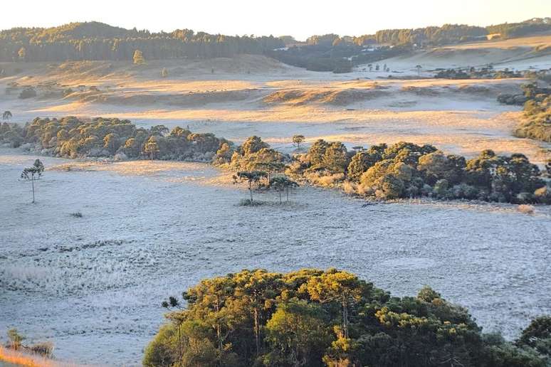 O frio com temperatura negativa mudou a paisagem de São Joaquim, Santa Catarina