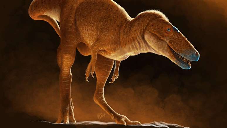 Impressão artística do dinossauro recém-descoberto
