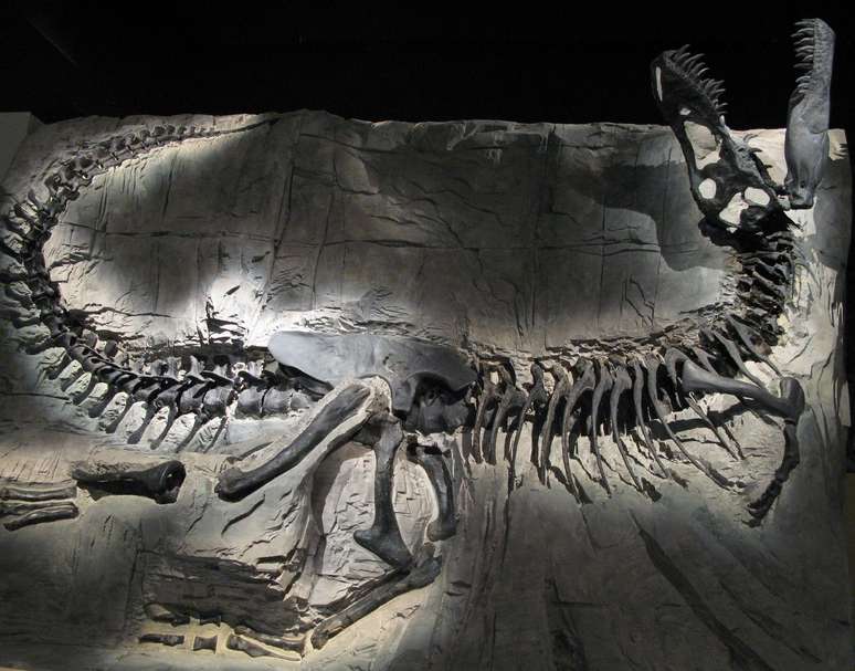 Embora existam fósseis completos que nos dão uma imagem clara do T. rex, seus ancestrais anteriores são mais misteriosos