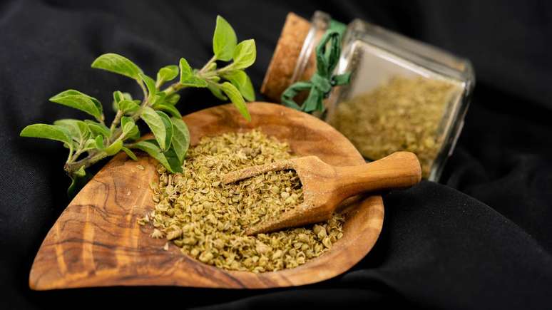 Saúde natural ao alcance da sua cozinha! Erva muito utilizada pelos brasileiros auxilia na produção de colágeno e prevenção do câncer