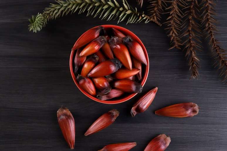 Além de ter um sabor que conquista muitas pessoas ao redor do país, o pinhão também é um alimento fonte de bons nutrientes